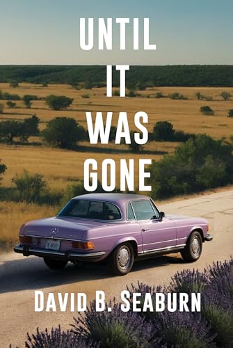 Until It Was Gone: A Contemporary Family Novel of Resilience and Hope